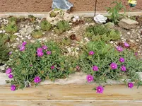 IMG_20220609_123016.webp