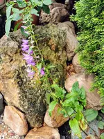 IMG_20220609_124015.webp