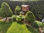 IMG_20220531_084039.jpg