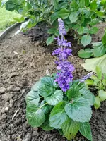 IMG_20220520_192645.webp