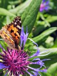 IMG_20220526_094704.jpg