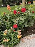 IMG_20220526_123843.webp