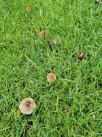 IMG_20220609_115114.webp