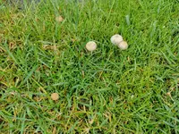 IMG_20220609_115136.webp