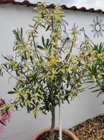IMG_20220609_123455.webp