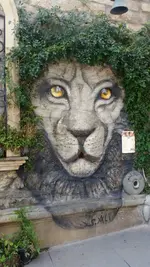IMG-20190811-WA0004.webp