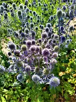 IMG_20210725_143126.webp