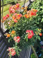 20220610_114828.webp