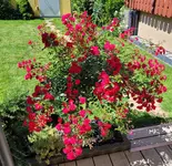 20220610_114923.webp