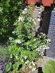 20220610_114942.jpg