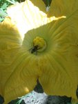 IMG_20220610_113953.jpg