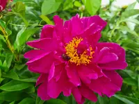 20220610_165215.webp