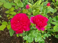 20220610_165444.webp 20220610_165444.webp