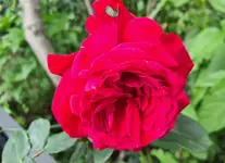 20220610_171820.webp 20220610_171820.webp