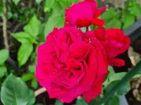 20220610_171748.webp 20220610_171748.webp