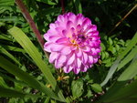 DSC02444.JPG
