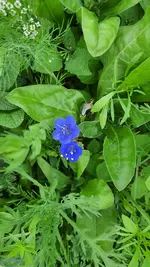 20220610_171121.webp