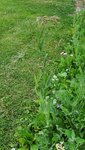 20220610_171113.jpg
