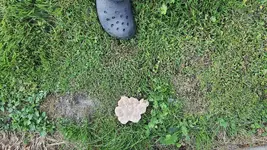 20220609_195142.webp