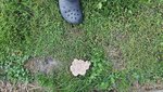 20220609_195142.jpg