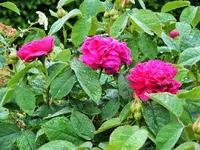 DSCF5173 (2).webp DSCF5173 (2).webp