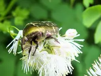 DSCF5185 (2).webp