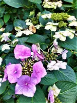 IMG_20200910_123351_2.webp IMG_20200910_123351_2.webp