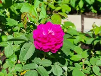 20220611_102919.webp 20220611_102919.webp