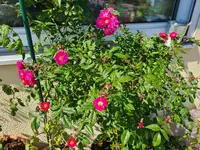 20220611_103319.webp 20220611_103319.webp