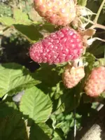 IMG_20220610_102837.webp