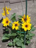 IMG_20220610_103651.jpg