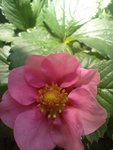 IMG_20220611_101108.jpg