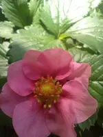 IMG_20220611_101108.webp