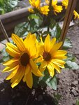 IMG_20220610_101958.jpg
