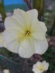 IMG_20220610_212646.jpg