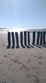 20220611_180412.webp