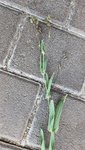20220611_205912.jpg