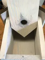 Nistkasten für Blaumeisen...02 (1).jpg