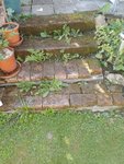 IMG_20220612_101653.jpg