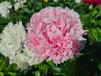 20220612_093403.webp