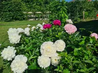20220612_114626.webp