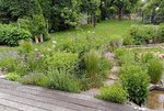 IMG_20220611_101713.jpg