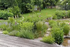 IMG_20220611_101713.webp