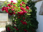 DSC02462.JPG