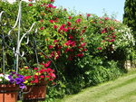 DSC02448.JPG