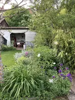 IMG_1008(1).webp
