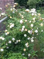 20220610_120905.webp