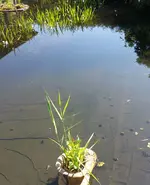 20220610_101316.webp