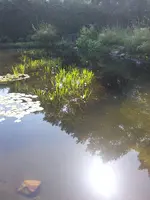 20220610_101348.webp