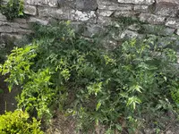 11FBD3F3-C824-485D-A080-1AB53CAF2FD7.webp